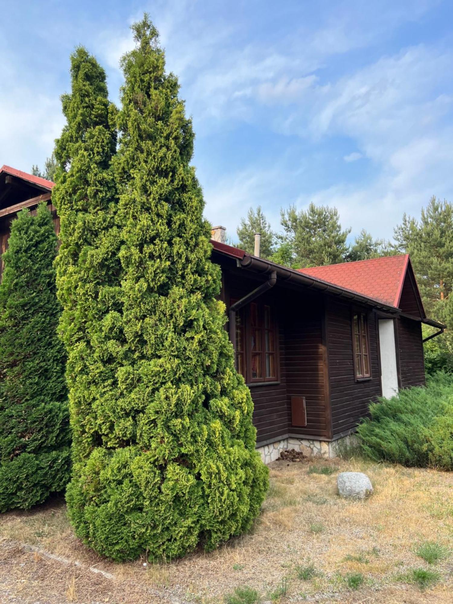Domki Carmen Wierzchownia Exterior photo